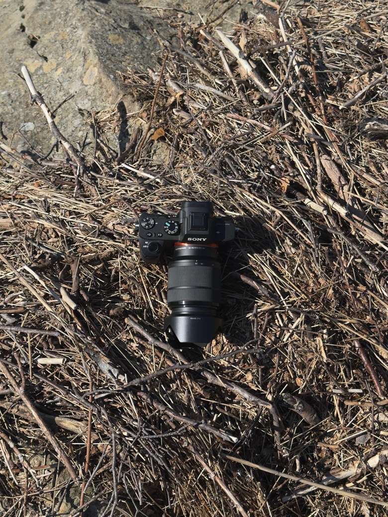 Sony camera on dry branches